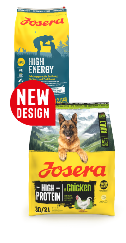 high energy nowa.png