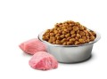 farmina dzik + jablko 1,5kg kot.JPG