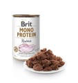 brit mono królik.JPG