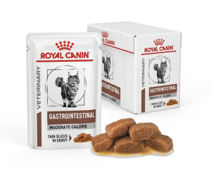 RC Vet Gastro Intestinal Moderate Calorie 48x85g Magen Darm Diät Nassfutter Katze (1)