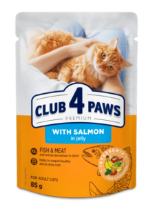 6 * CLUB 4 PAWS KATZE 85 g – Lachs in Gelee