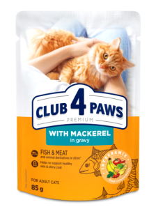 6 * Club 4 Paws Premium Katzenfutter Makrele Soße Nassfutter Katze Fisch