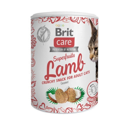 CAT-brit-care-snack-superfruits-lamb-100g.png