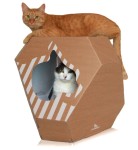 MyKotty MIA Katzenhöhle + Kratzmatte Kratzmöbel  Katzenbett