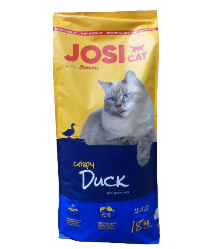 josicat duck.jpg
