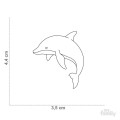 0029846_wild-tag-dolphin.jpeg