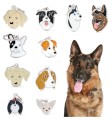 Hundemarke Friends (2).JPG