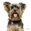 0027784_glam-paw-fuchsia-circle-strass-id-tag.jpeg
