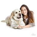 0027328_cream-labrador-id-dog-tag.jpeg