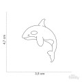 0029857_wild-tag-killer-whale.jpeg