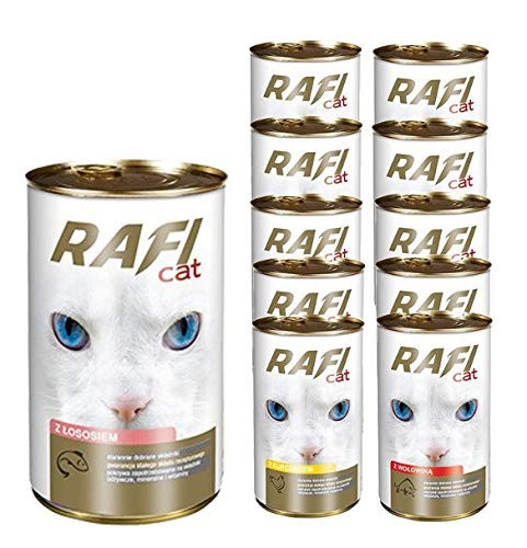 Rafi CAT.jpg