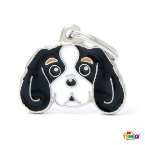 Hundemarke mit HUNDERASSEN CAVALIER KING TRICOLOUR My Family Friends Adressanhänger mit Gravur 