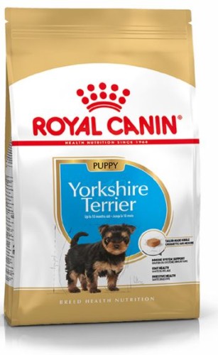 netfutter-Royal-Canin-Yorkshire-Terrier-Puppy.JPG