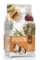 puur guinea pigs.jpg