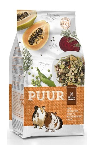 puur guinea pigs.jpg