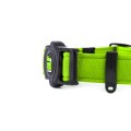 MEMOPET_COLLAR_GREEN_2.jpg