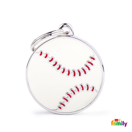 CH17BASEBALL.png