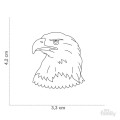 0029837_wild-tag-eagle.jpeg