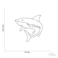 0029848_wild-tag-shark.jpeg