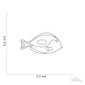 0029862_wild-tag-surgeonfish.jpeg